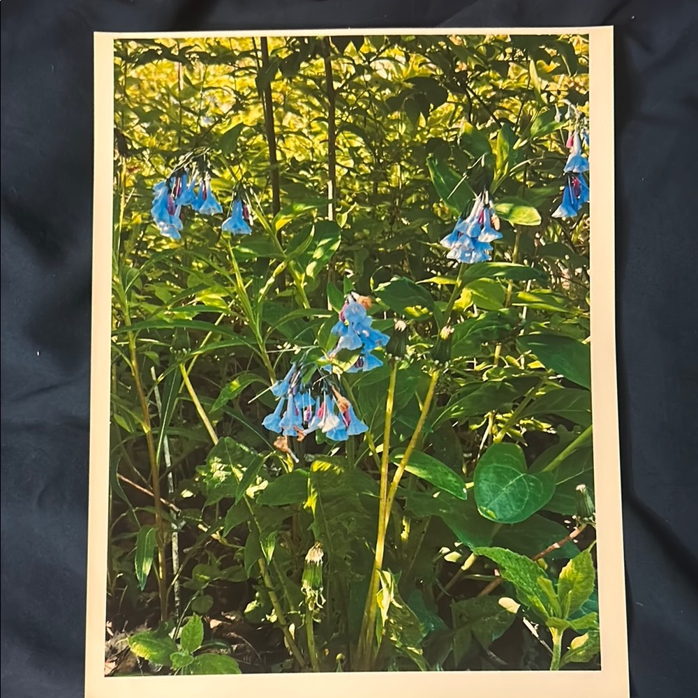 8 x 10 frame of art original artwork by myself.